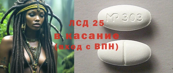 PSILOCYBIN Бородино