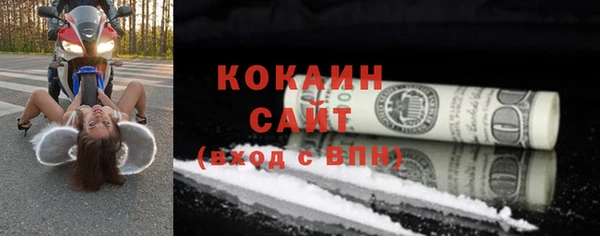 прущие грибы Верея