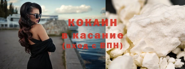 PSILOCYBIN Бородино