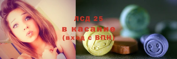 прущие грибы Верея