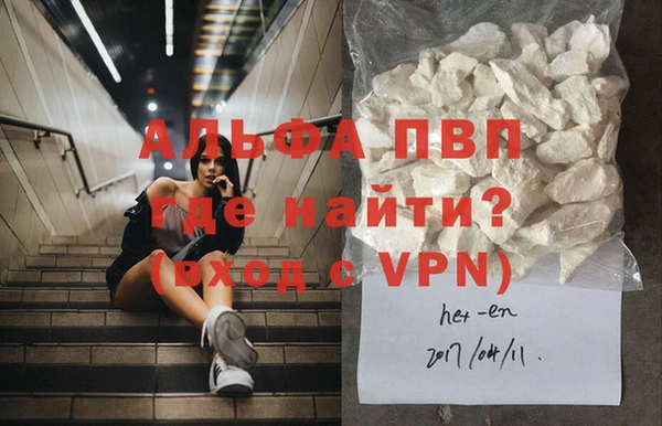прущие грибы Верея