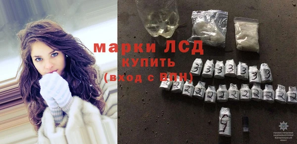 PSILOCYBIN Бородино