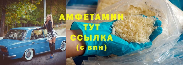прущие грибы Верея