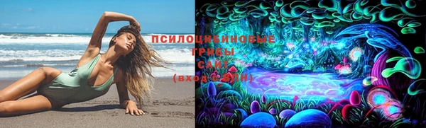 дмт Верхний Тагил