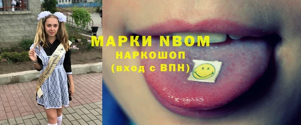 прущие грибы Верея