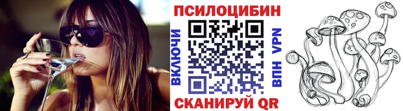 Псилоцибиновые грибы Cubensis Ессентукская