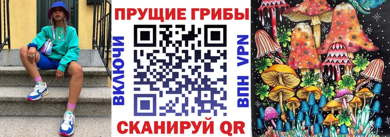 Галлюциногенные грибы прущие грибы  Ессентукская 